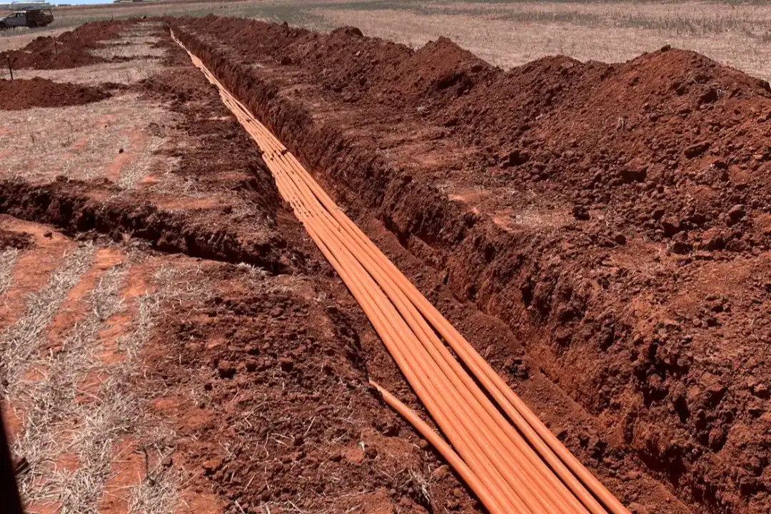 Excavation Griffith